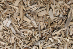 biomass boilers Giosla