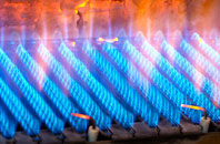 Giosla gas fired boilers